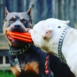 SodaPup Rocket Reward Rubber Tug & Retrieving Dog Toy -Deals Marvel Store✌️ 347108 PT5. SY630 V1638338801