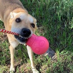 Deals Marvel Store✌️ -Deals Marvel Store✌️ 347110 PT1. SY630 V1638337636