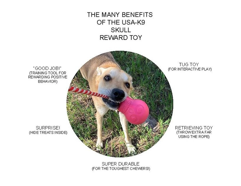 SodaPup Skull Reward Rubber Tug & Retrieving Dog Toy 5 SodaPup Skull Reward Rubber Tug & Retrieving Dog Toy - Image 3