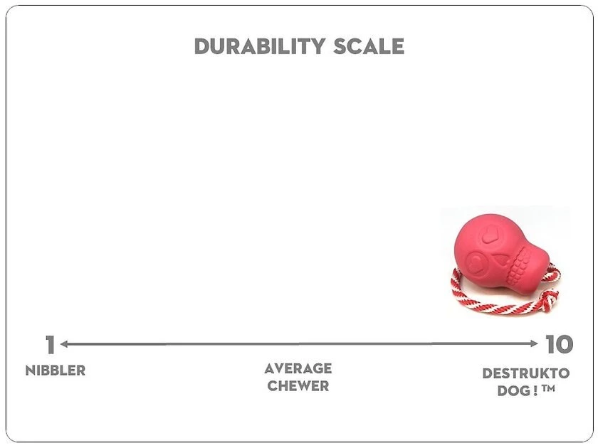 SodaPup Skull Reward Rubber Tug & Retrieving Dog Toy 7 SodaPup Skull Reward Rubber Tug & Retrieving Dog Toy - Image 5