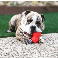 Deals Marvel Store✌️ -Deals Marvel Store✌️ 347114 PT1. SY630 V1638401867