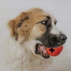 SodaPup Snowman Rubber Treat Dispenser Dog Toy -Deals Marvel Store✌️ 347114 PT6. SY630 V1638398238