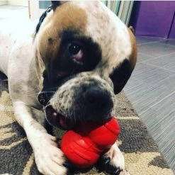 SodaPup Snowman Rubber Treat Dispenser Dog Toy -Deals Marvel Store✌️ 347114 PT7. SY630 V1638400339