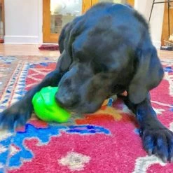 SodaPup TPE Bull Frog Treat Dispenser Dog Toy -Deals Marvel Store✌️ 347125 PT6. SY630 V1638340903