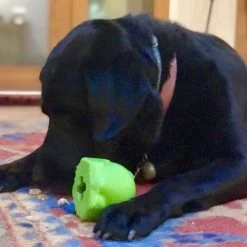 SodaPup TPE Bull Frog Treat Dispenser Dog Toy -Deals Marvel Store✌️ 347125 PT8. SY630 V1638339696