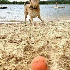 SodaPup TPE Smile Ball Chew & Retrieving Toy -Deals Marvel Store✌️ 347127 PT3. SY630 V1638340897