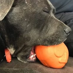 SodaPup TPE Turkey Treat Dispenser Dog Toy -Deals Marvel Store✌️ 347129 PT3. SY630 V1638339700