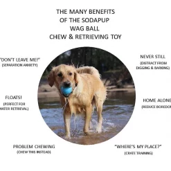 SodaPup TPE Wag Ball Chew & Retrieving Toy 13 SodaPup TPE Wag Ball Chew & Retrieving Toy -Deals Marvel Store✌️ 347131 PT3. SY630 V1638338800