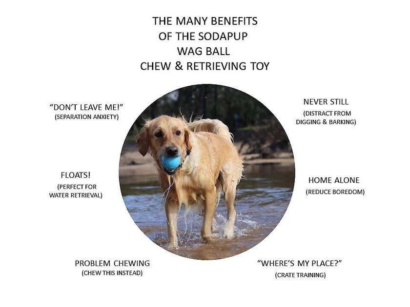 SodaPup TPE Wag Ball Chew & Retrieving Toy 6 SodaPup TPE Wag Ball Chew & Retrieving Toy - Image 4