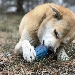 SodaPup Wire Nut Rubber Treat Dispenser Dog Toy -Deals Marvel Store✌️ 347133 PT7. SY630 V1638340019