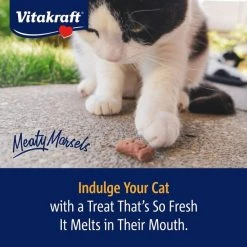 Vitakraft Meaty Morsels Chicken with Salmon Recipe Soft Cat Treats, 1.4-oz pouch, pack of 4 -Deals Marvel Store✌️ 347890 PT6. SY630 V1638832971