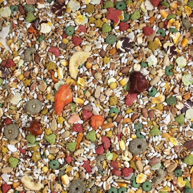 Vitakraft Vita Smart Vitamin-Fortified Gourmet Conure Bird Food, 4-lb bag 5 Vitakraft Vita Smart Vitamin-Fortified Gourmet Conure Bird Food, 4-lb bag - Image 3