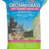 Vitakraft Orchard Grass Hay Rabbit, Guinea Pig, Chinchilla & Small Animal Food, 28-oz bag