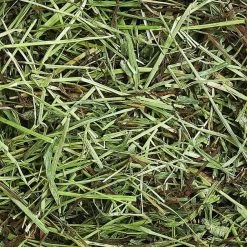 Vitakraft Orchard Grass Hay Rabbit, Guinea Pig, Chinchilla & Small Animal Food, 28-oz bag 13 Vitakraft Orchard Grass Hay Rabbit, Guinea Pig, Chinchilla & Small Animal Food, 28-oz bag -Deals Marvel Store✌️ 96272 PT5. SY630 V1477576679